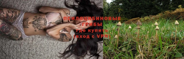 спиды Вязники