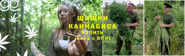 амф Карпинск