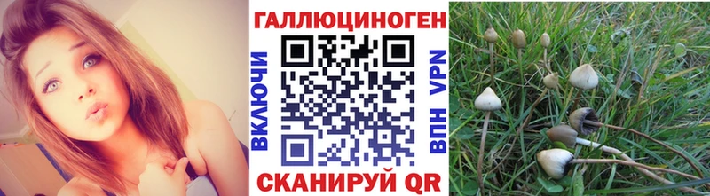 Псилоцибиновые грибы ЛСД  Далматово 