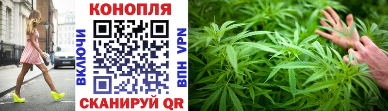 Конопля индика  KRAKEN   Далматово 